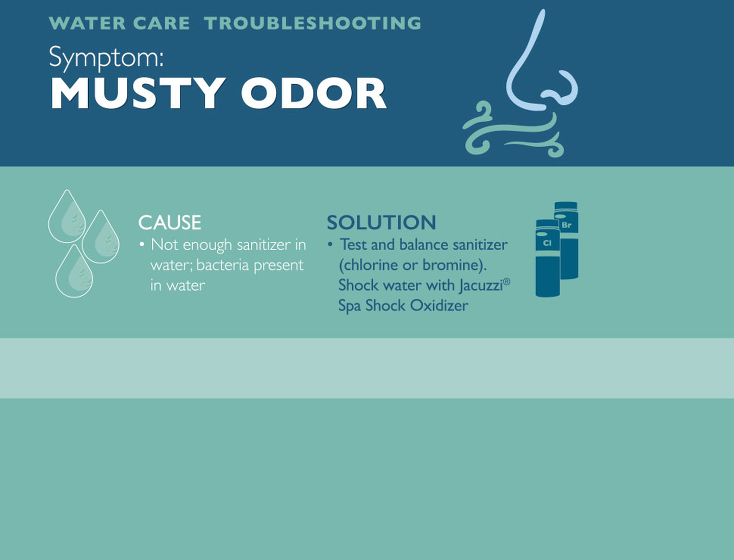 Musty Odor