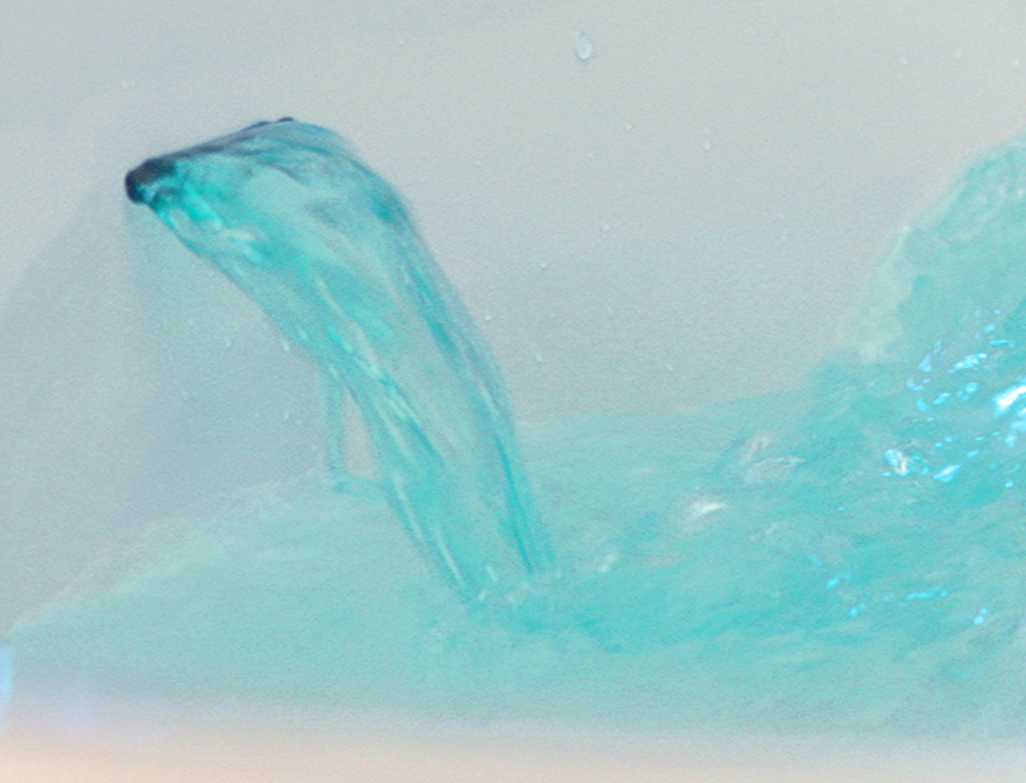 Style and Durability - water fall