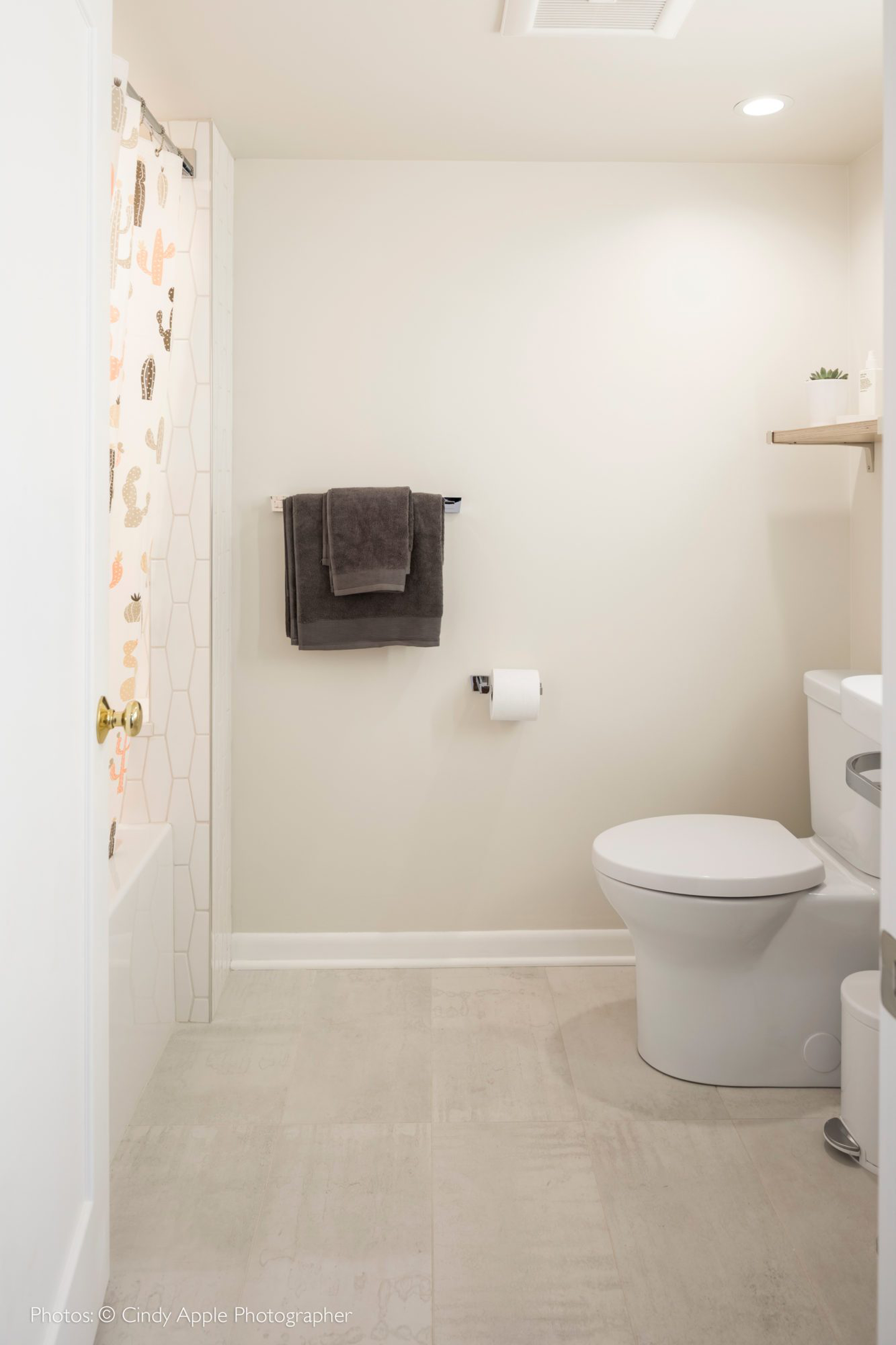 Cat Schmidt Bathroom