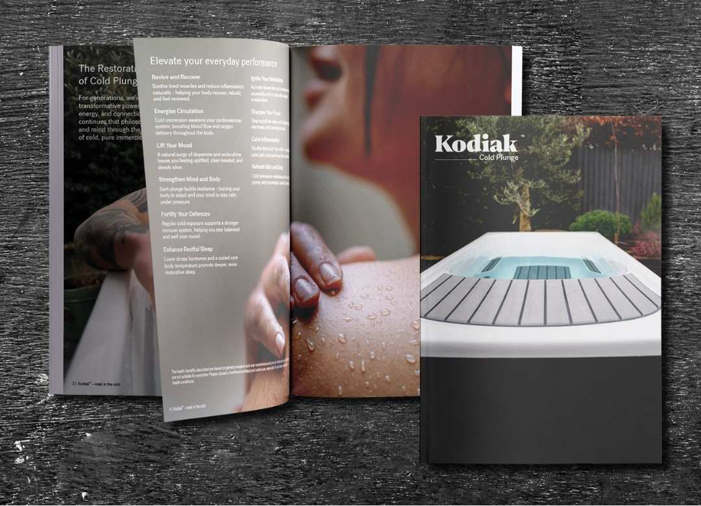 Kodiak&trade; Cold Plunge Brochure