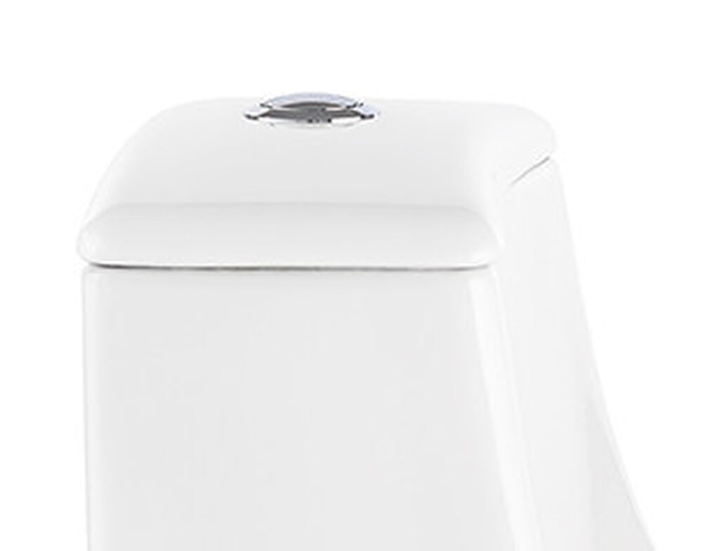Primo One-Piece Toliet