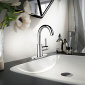 Duncan™ Single  Faucet