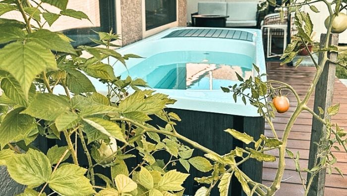 Indoor or Outdoor Use*